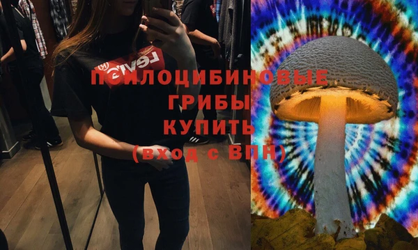 соль ск Абаза
